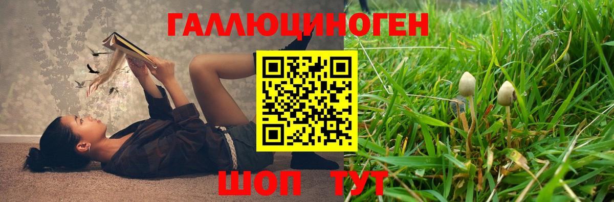 Псилоцибиновые грибы Psilocybe  Вход с VPN  Новотроицк 