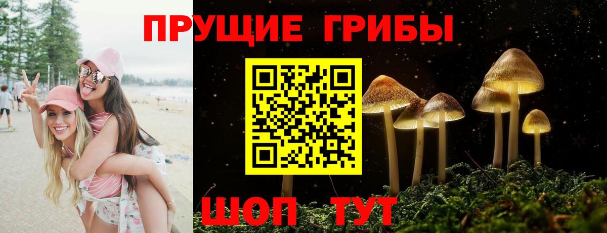 Псилоцибиновые грибы Psilocybine cubensis Новотроицк