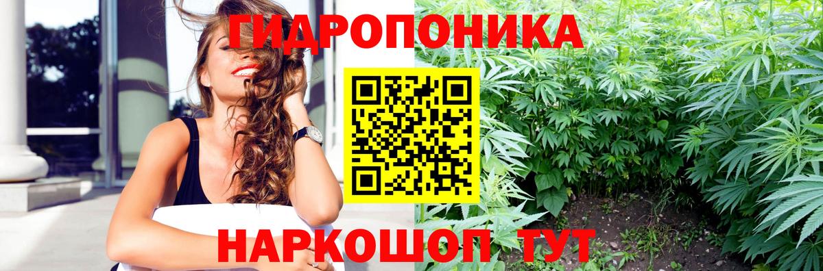 Бошки марихуана семена Новотроицк